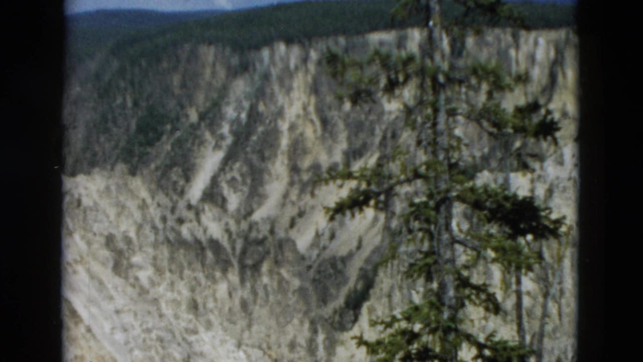1958 Yellowstone home-movie frame with evergreen branches in front of pale canyon walls and a wooded rim.