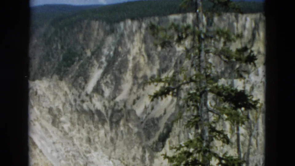 1958 Yellowstone home-movie frame with evergreen branches in front of pale canyon walls and a wooded rim.