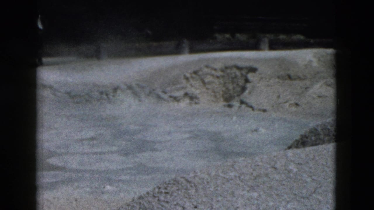1958 Yellowstone home-movie frame showing pale geothermal ground, rocky deposits, dark frame edges, and tiny distant visitors near the upper edge.