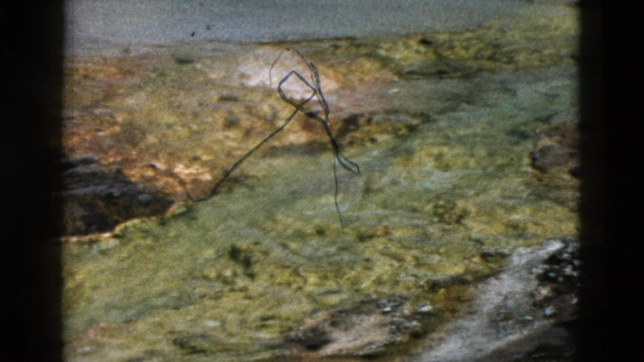1958 Yellowstone 8mm frame showing a shallow geothermal pool, yellow-green mineral mats, pale crusted ground, and dark film gate edges.