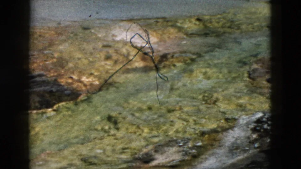 1958 Yellowstone 8mm frame showing a shallow geothermal pool, yellow-green mineral mats, pale crusted ground, and dark film gate edges.