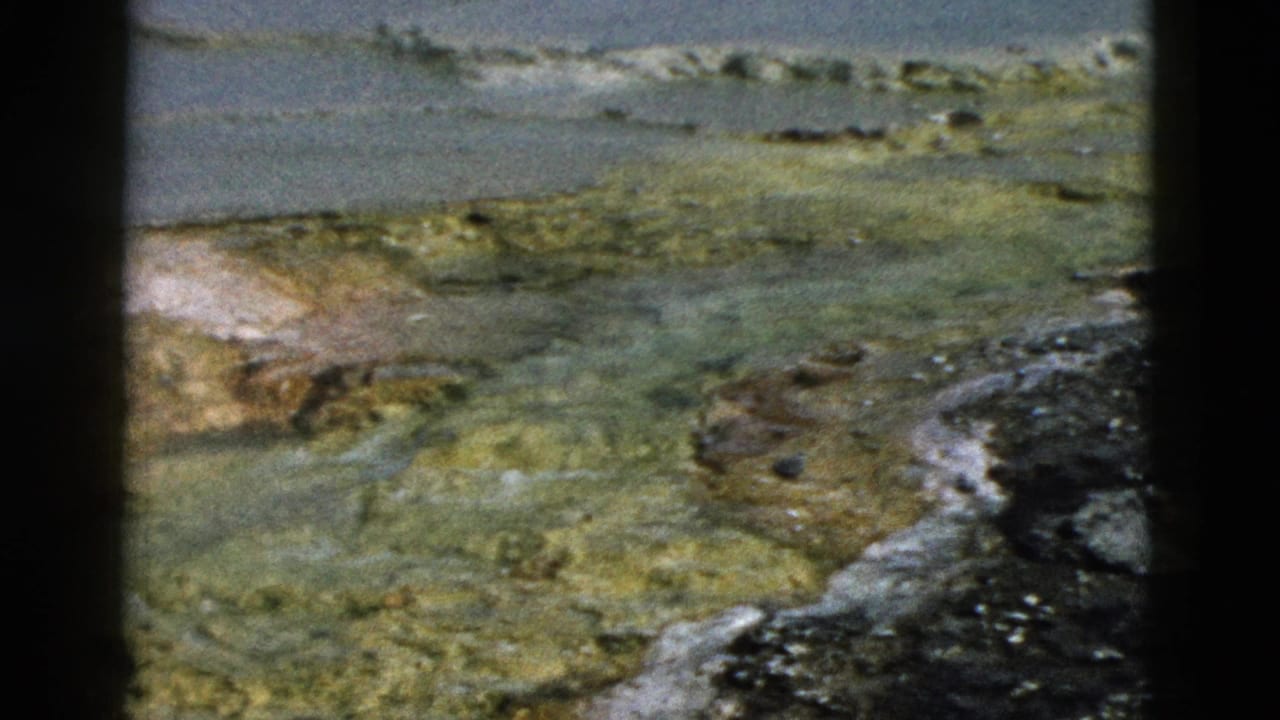 1958 Yellowstone 8mm frame of a thermal pool margin with pale mineral crust, green-yellow mats, dark wet ground, and water beyond.