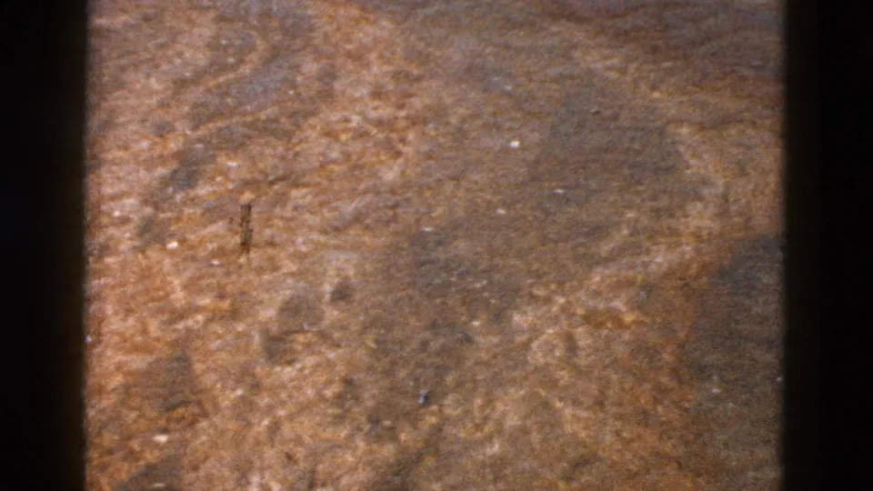 1958 Yellowstone 8mm frame focused on brown rippled water or wet mineral surface, with soft grain, color shift, and small film marks visible.