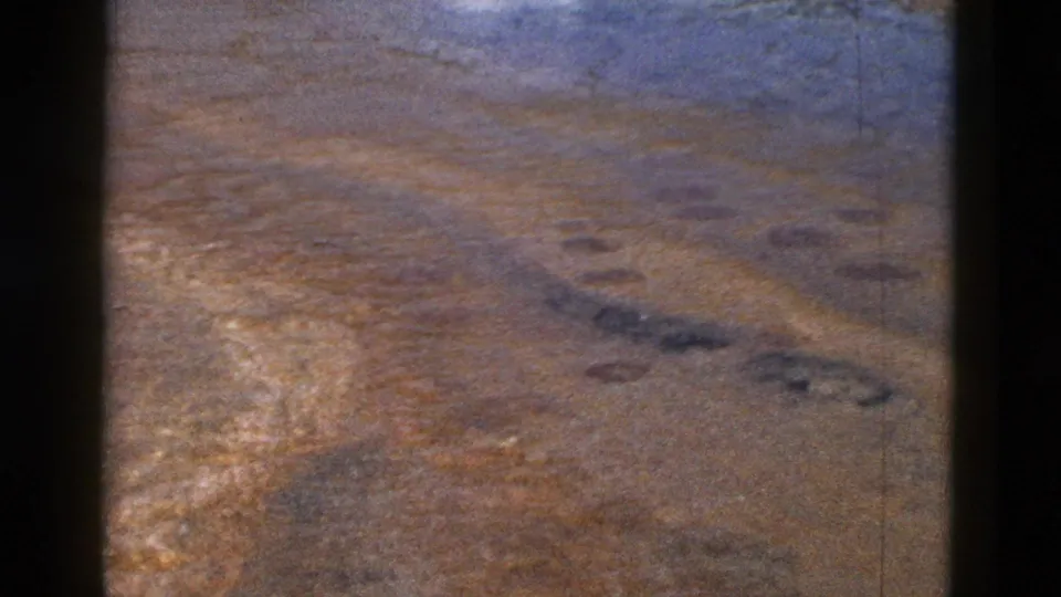 Vintage aerial frame of dry Yellowstone-area ground, showing darker land patterns, grain, and a visible contact-sheet division.