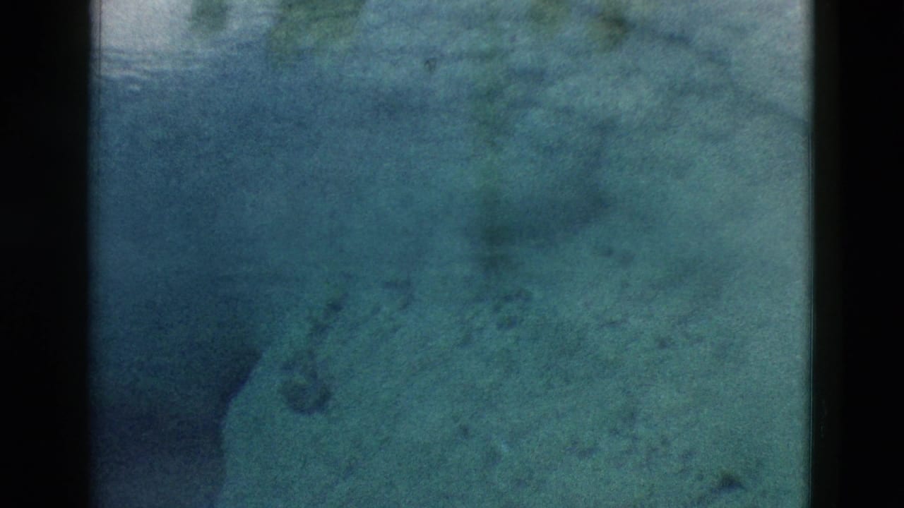 Blue-green underwater spring view with pale rock and dark submerged shapes.
