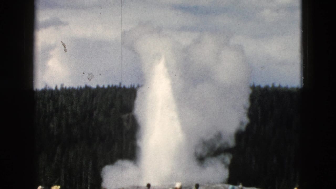 Old Faithful geyser plume rising behind a small crowd and dark pine forest.