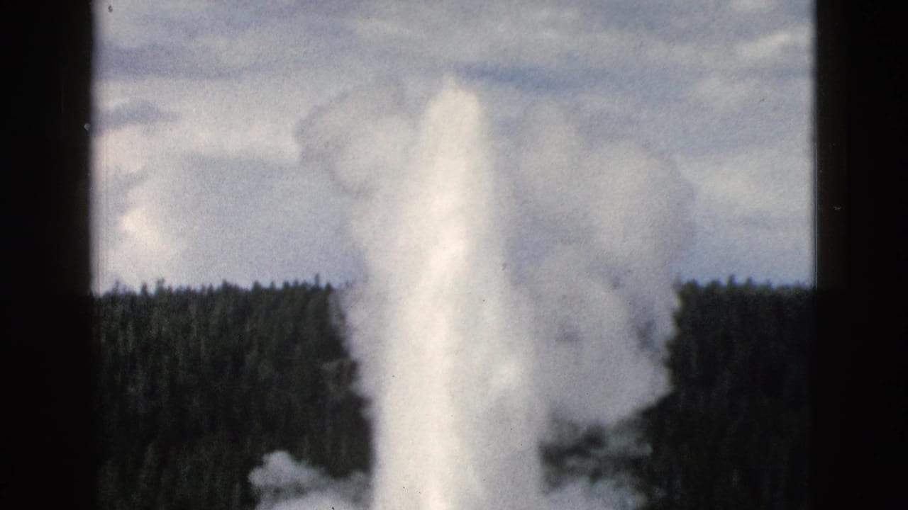 Geyser eruption with a bright water column and steam cloud against trees.