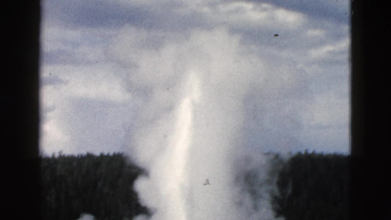 Tall geyser plume rising above a dark treeline under a cloudy sky.