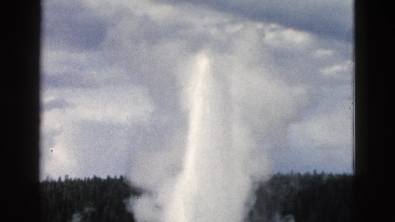 Broad white steam plume from a geyser against clouds and a dark forest edge.