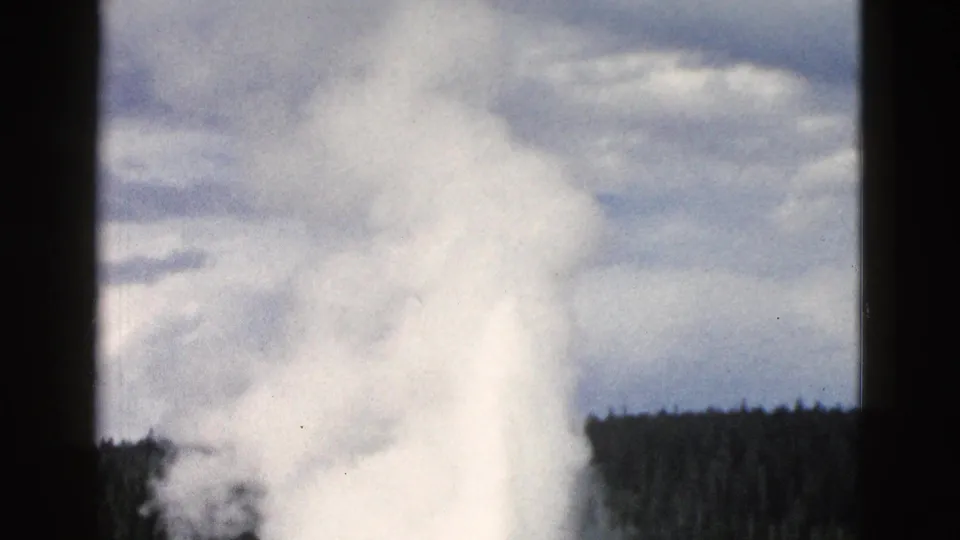 The Old Faithful plume softens and spreads across the frame, with the Yellowstone tree line visible beneath a clouded sky.
