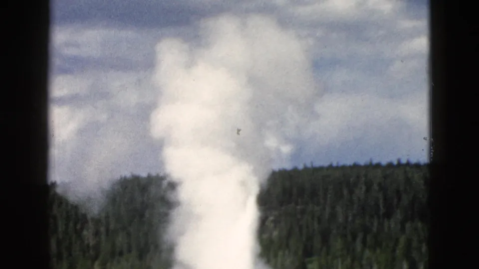 The Yellowstone geyser plume thickens in the 8mm frame, with steam drifting in front of dark trees.