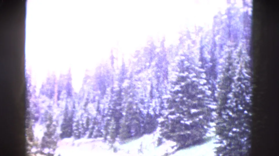Overexposed 8mm Yellowstone forest view with snow on evergreen trees and a dark vertical gate shadow near the center.