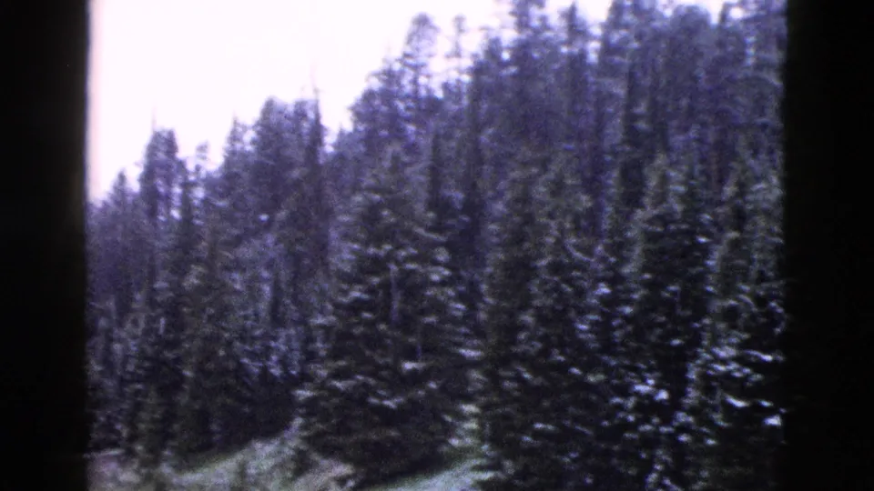 1958 Yellowstone 8mm frame of dense conifer forest, snow patches, and dark gate-edge borders from a handheld home movie.