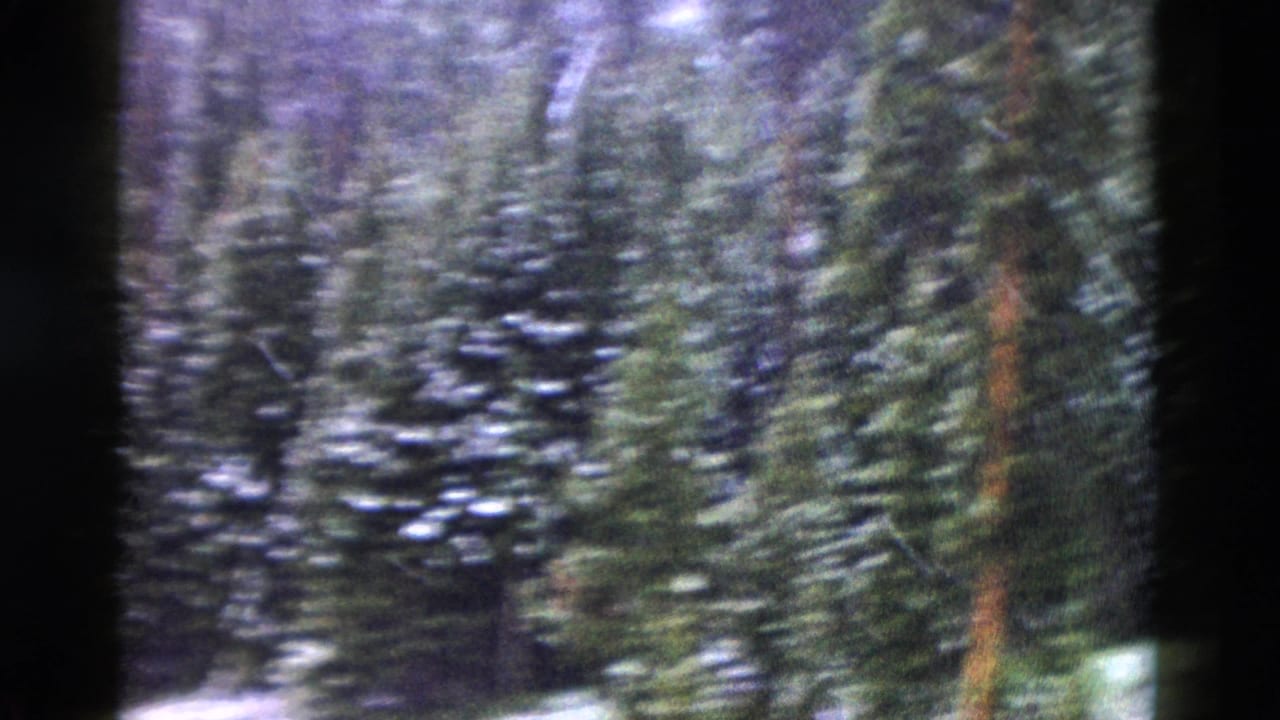 1958 Yellowstone 8mm frame showing a soft, handheld view of snow-dusted evergreen trees through dark film edges.