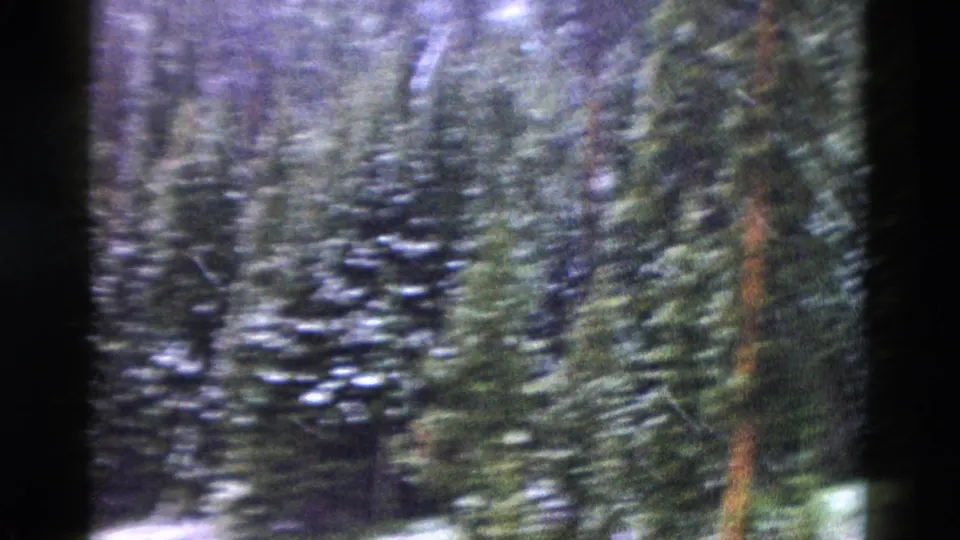 1958 Yellowstone 8mm frame showing a soft, handheld view of snow-dusted evergreen trees through dark film edges.