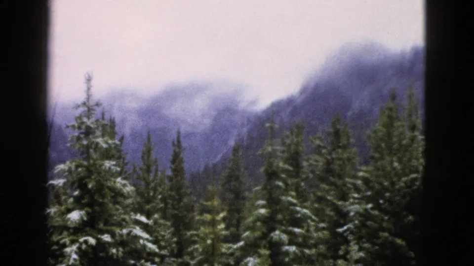 1958 Yellowstone frame looking past snowy evergreens toward misty mountain slopes under a pale sky.