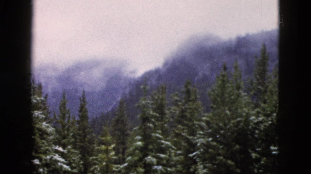 Snow-dusted evergreen trees below a misty mountain slope with dark film-frame edges.