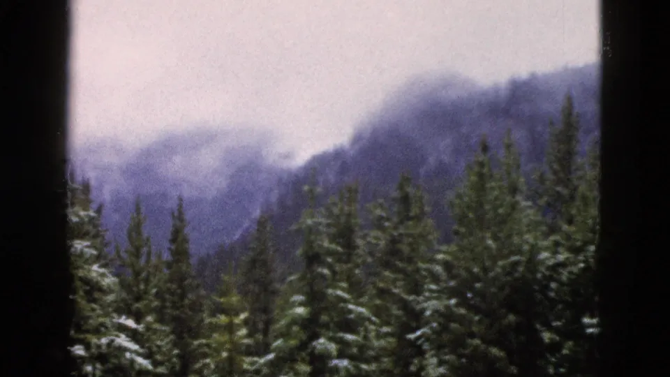 1958 8mm home-movie frame from Yellowstone, Wyoming, showing snow-dusted evergreens beneath a fog-softened mountain slope.
