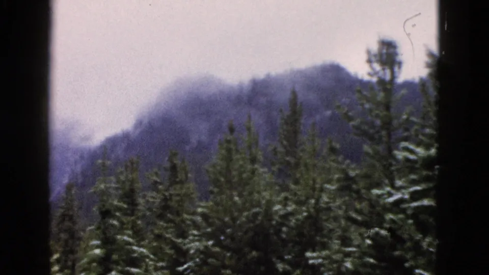 A Yellowstone, Wyoming 8mm frame shows a dark evergreen treeline with a fog-shrouded mountain ridge behind it.