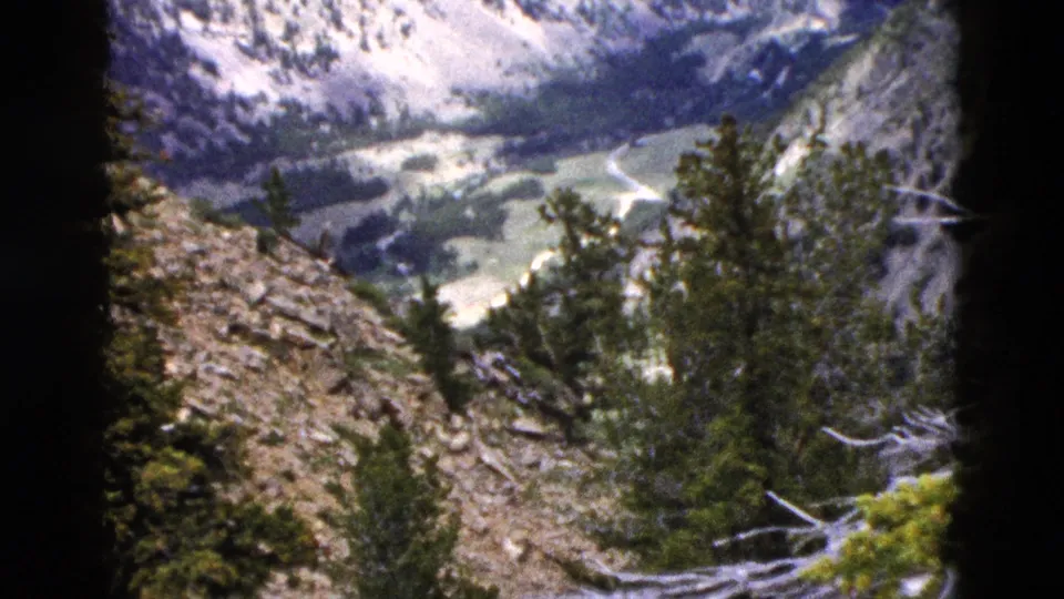 1958 Yellowstone home-movie frame showing trees and bare branches above a green mountain valley and steep surrounding slopes.