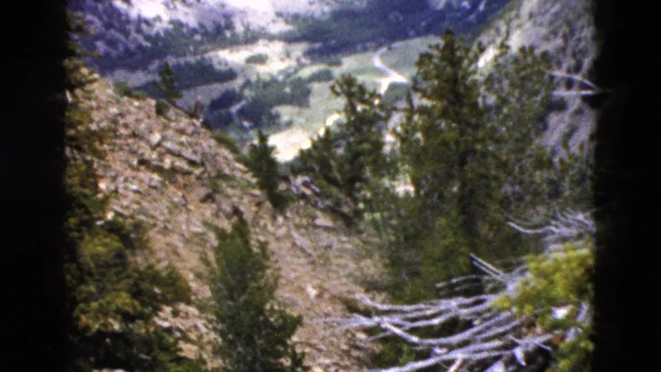1958 Yellowstone home-movie view of a rocky slope with pines, pale fallen branches, and a valley beyond.