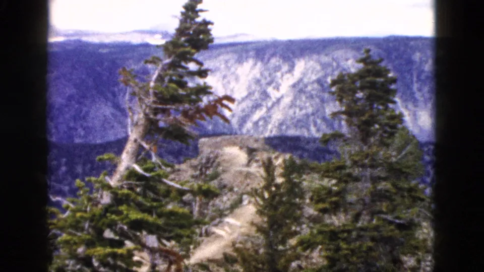 Visitor-shot 1958 Yellowstone overlook view with evergreens in front of a broad gray mountain valley.