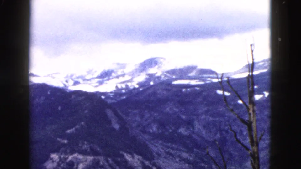 Snowy Yellowstone mountain peaks and dark ridges under cloudy sky, with a bare branch in the foreground.
