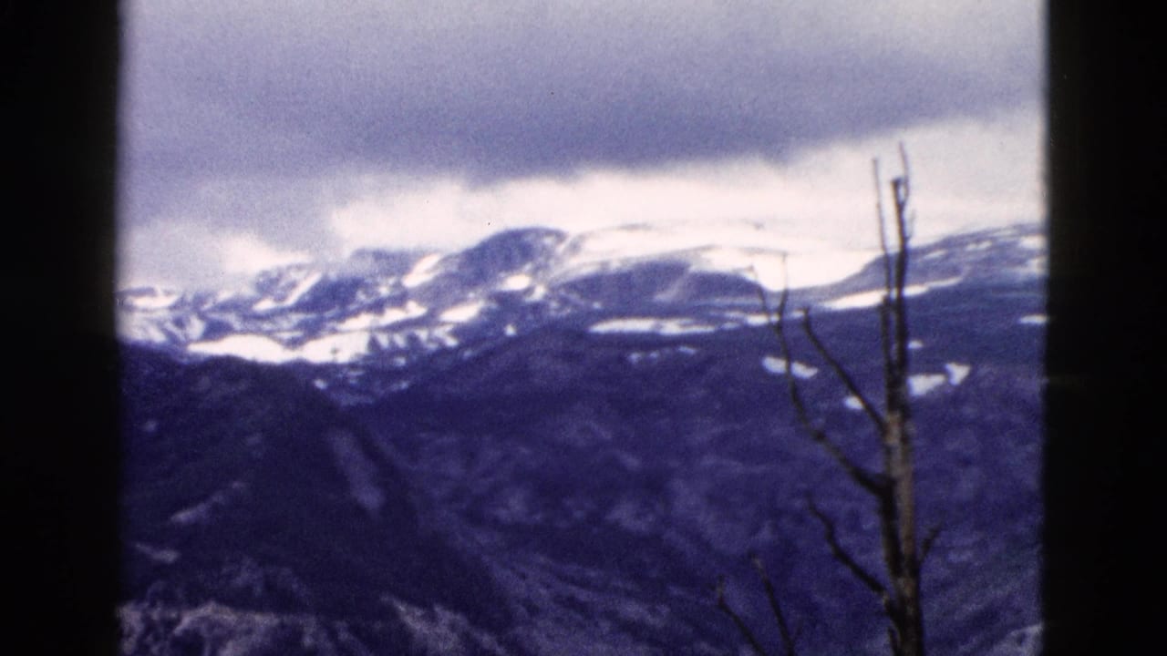 1958 Yellowstone 8mm frame showing distant snow-streaked mountains under an overcast sky, viewed past bare foreground branches.