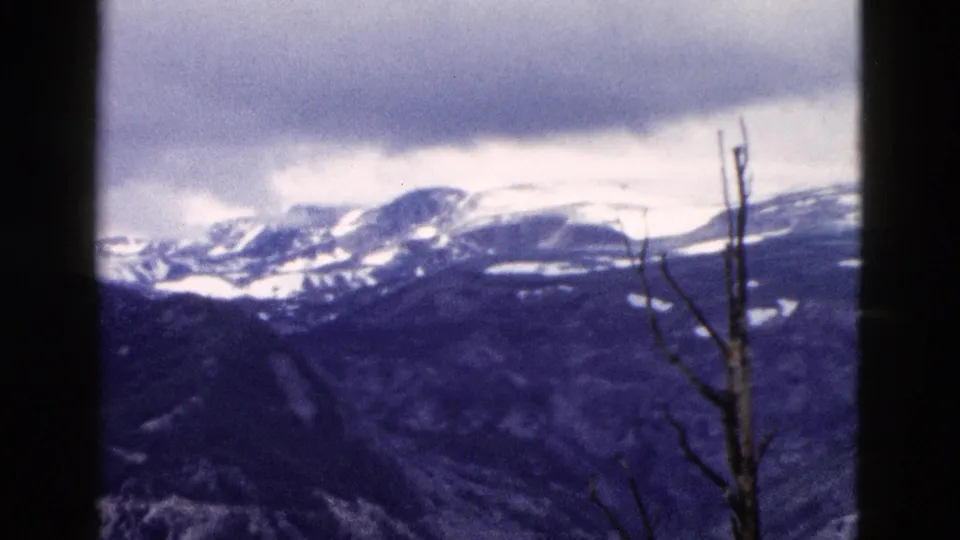 1958 Yellowstone 8mm frame showing distant snow-streaked mountains under an overcast sky, viewed past bare foreground branches.