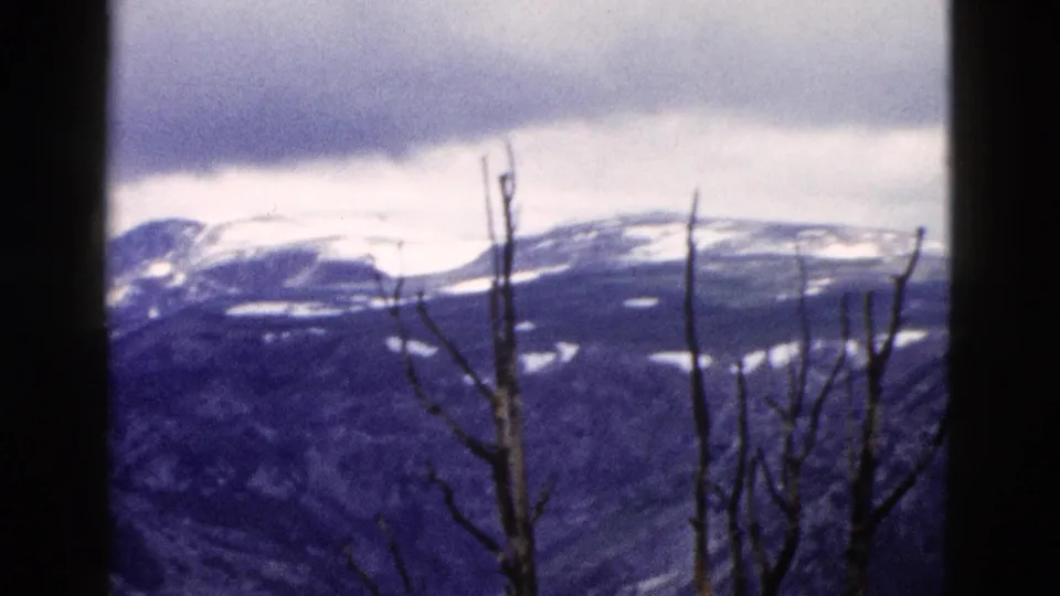 1958 Yellowstone 8mm frame with snow patches across distant mountain ridges, bare branches, and a dark frame edge in the foreground.