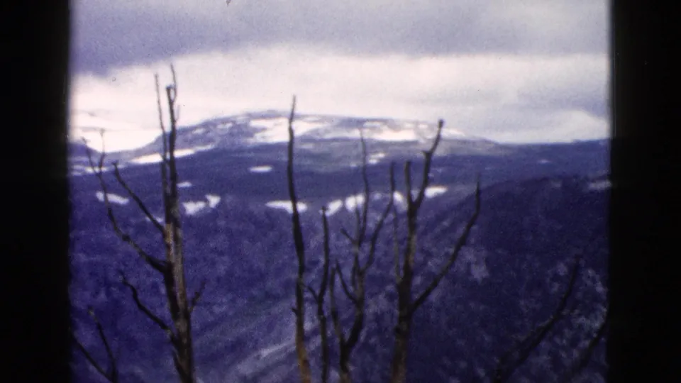 1958 Yellowstone 8mm frame showing bare foreground trees, a snow-marked ridge, and dark structural framing around the view.