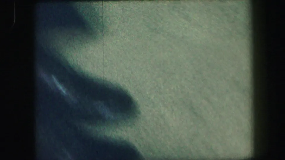 The clip ends on a soft, greenish, blurry transition frame with indistinct shadowed forms in the private interior.