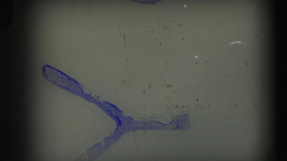 Leader-like 8mm frame in the supplied 1971 Lynbrook clip, showing a blue mark, dust, scratches, and dark frame edges.