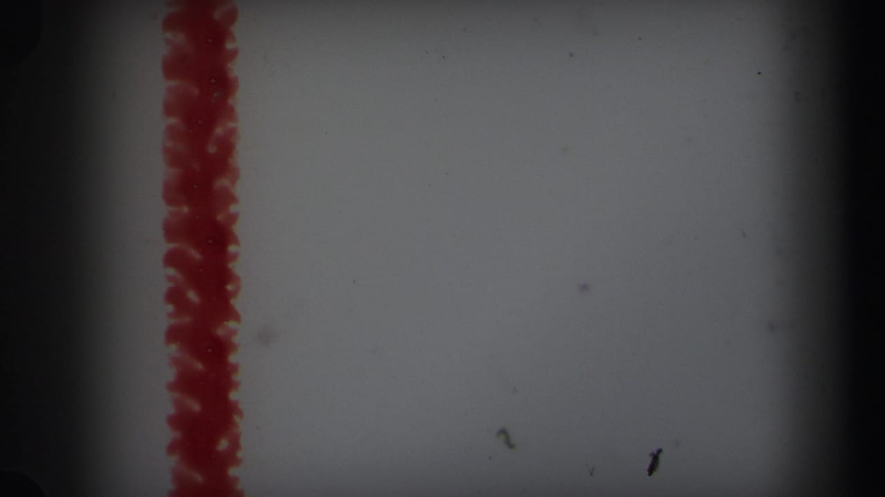 1971 Lynbrook interior frame with a wall, vertical red party decoration, and dark 8mm frame edge.