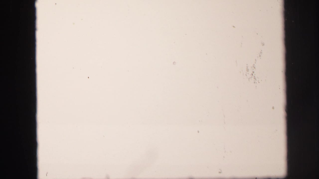 Overexposed 8mm frame from the Lynbrook clip, with a pale blank field, dark projector edges, and visible film dust.