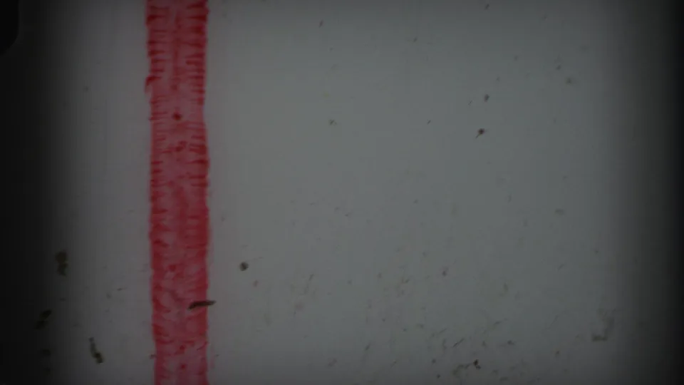 1971 Lynbrook 8mm frame with a red vertical reel-end marker, visible dust specks, faint scratches, grain, and dark side edges.