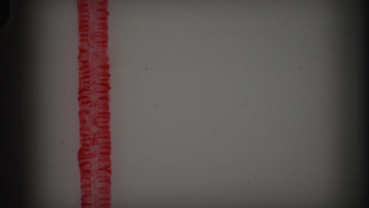 1971 8mm Lynbrook reel frame showing blank film area with a vertical red marking, grain, dust, and dark gate-edge shadows.