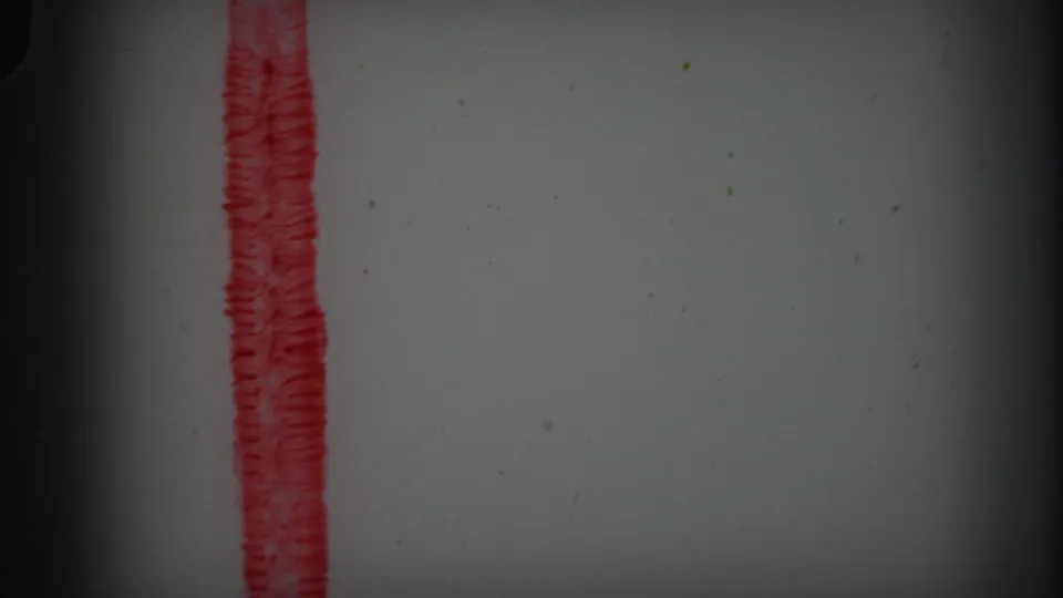 1971 8mm Lynbrook reel frame showing a pale blank field, vertical red line, dust specks, grain, and darker scan edges.