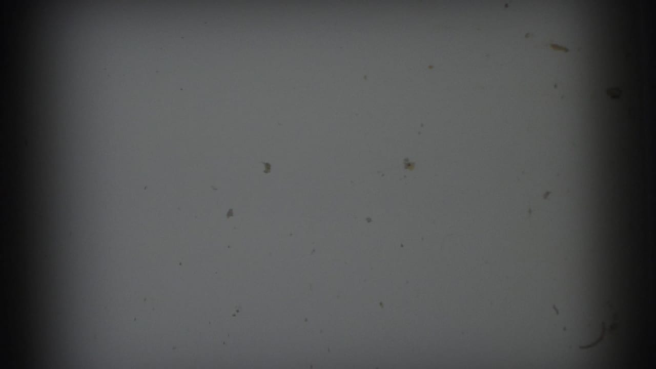 1973 8mm frame from the Lynbrook reel showing a dark grey, out-of-focus field with visible dust and heavy edge shadow.