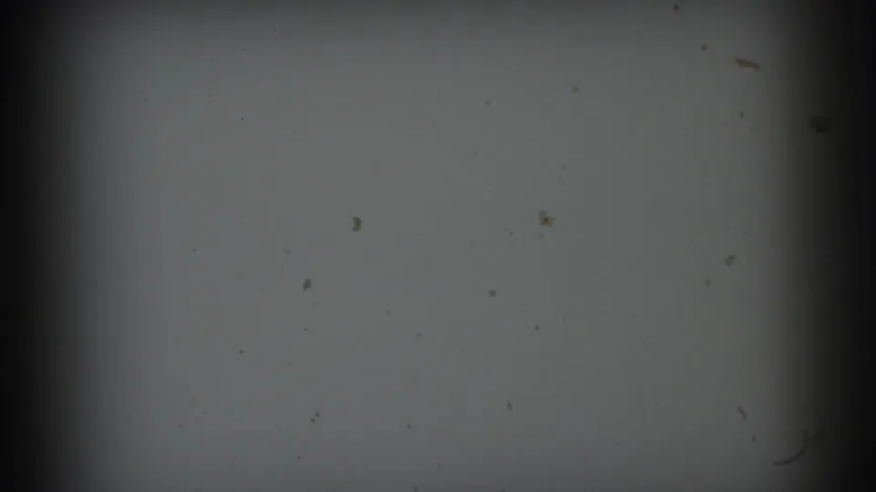 1973 8mm frame from the Lynbrook reel showing a dark grey, out-of-focus field with visible dust and heavy edge shadow.