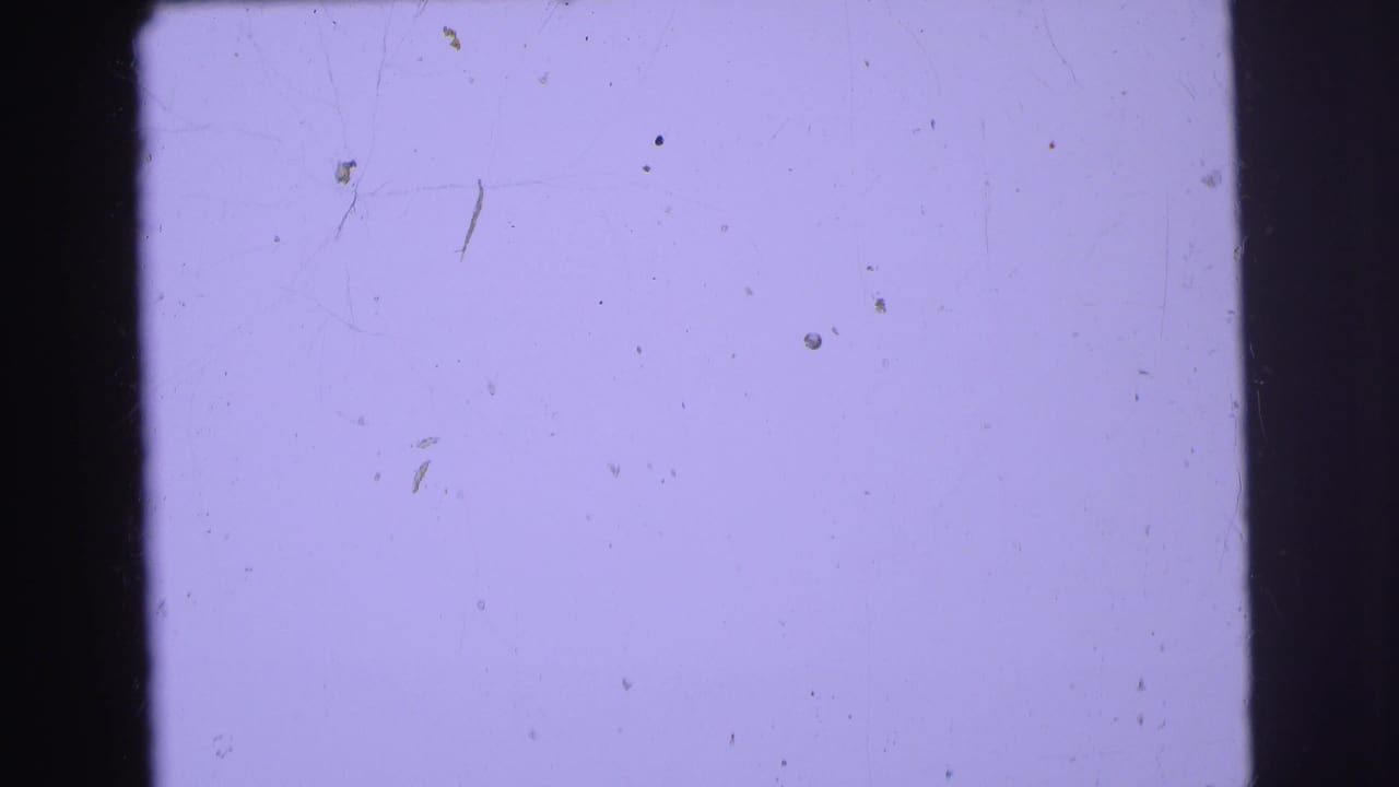 Washed purple film frame with black side edges, dust marks, and no distinct subject.