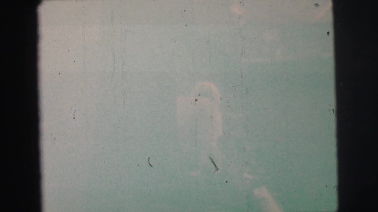Faint dog shape in a pale, overexposed frame with visible film marks.