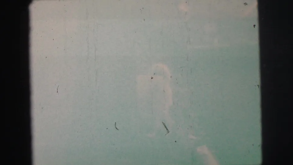 The dog is barely visible through a pale green overexposed 8mm frame from the Lynbrook home movie.
