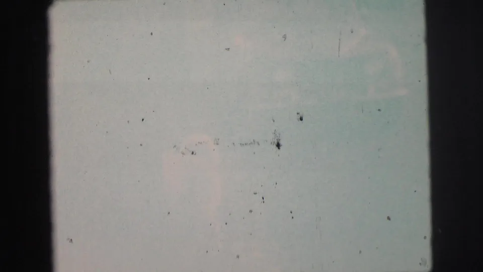 A washed-out green 8mm frame shows only a faint trace of the dog and surrounding ground texture.