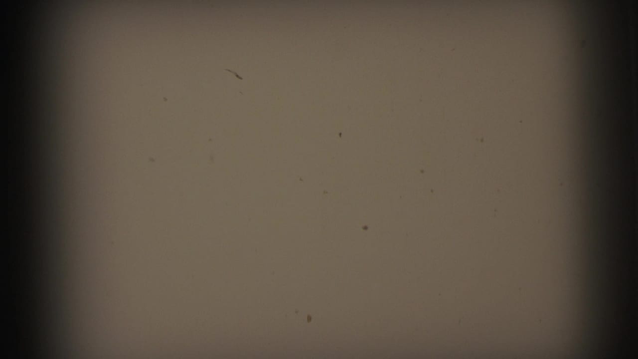 1973 Lynbrook 8mm home-movie start frame showing muted tan and gray areas, dust specks and dark gate vignetting.