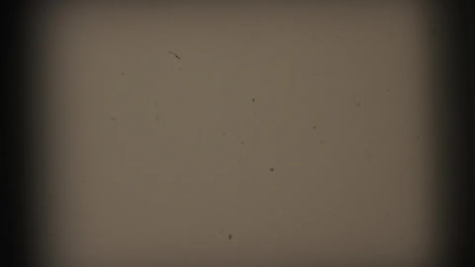 1973 Lynbrook 8mm home-movie start frame showing muted tan and gray areas, dust specks and dark gate vignetting.