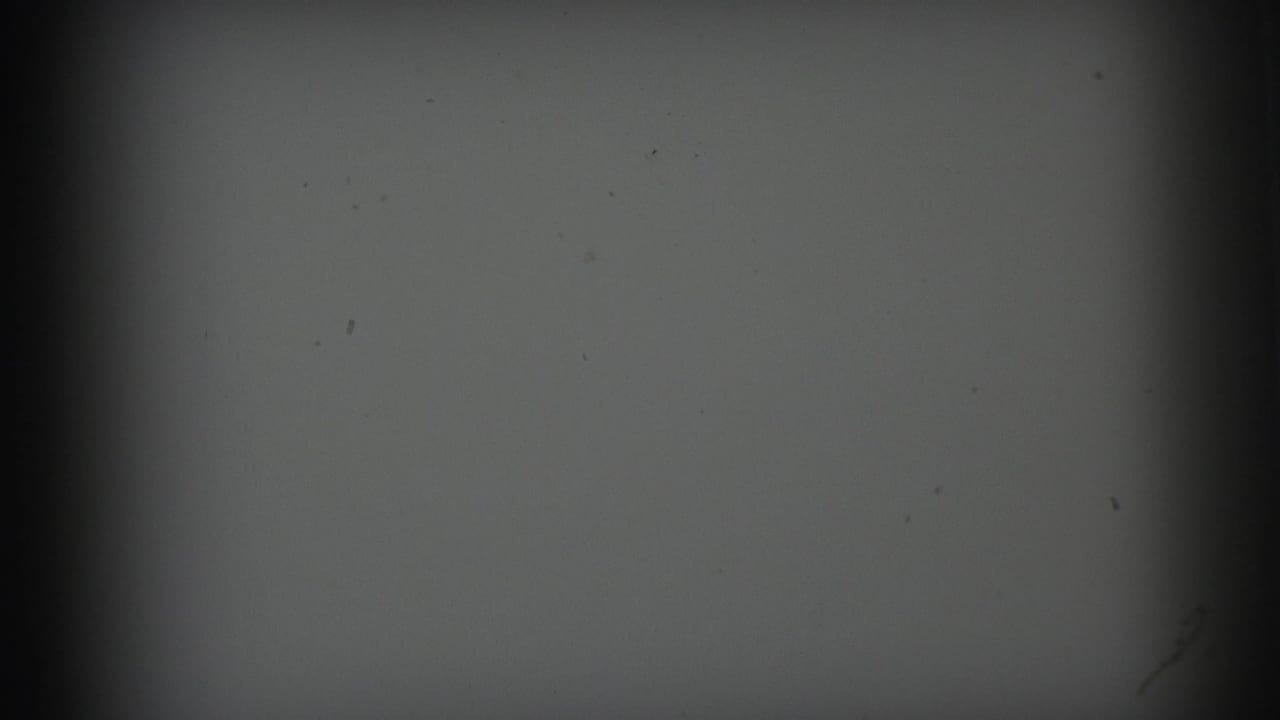 Supported 1973 Lynbrook 8mm frame with gray exposure, pronounced vertical gate shadow and visible dust on the film surface.