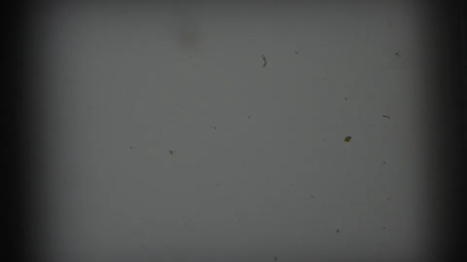 1973 Lynbrook 8mm home-movie opening frame with soft gray exposure, dark gate edges, dust and a small right-edge scratch.