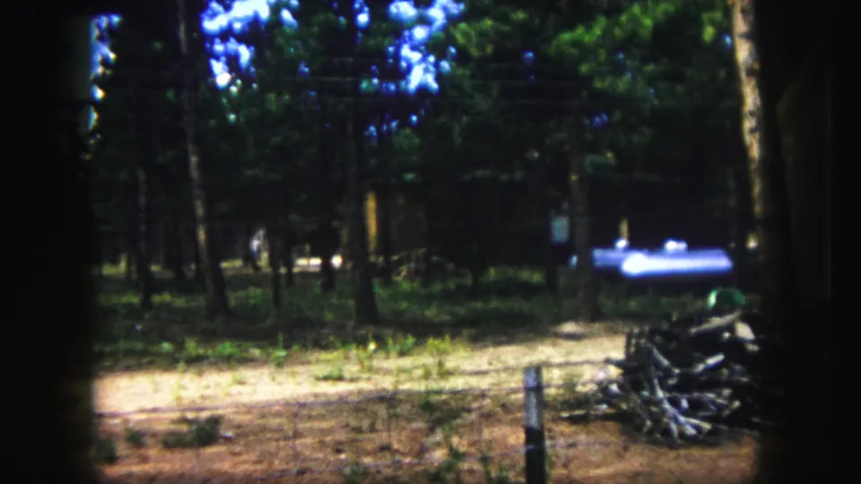 1958 Colorado Springs frame centered more on the trees and yard, with firewood, a dark chair, and a blue object near the building area.