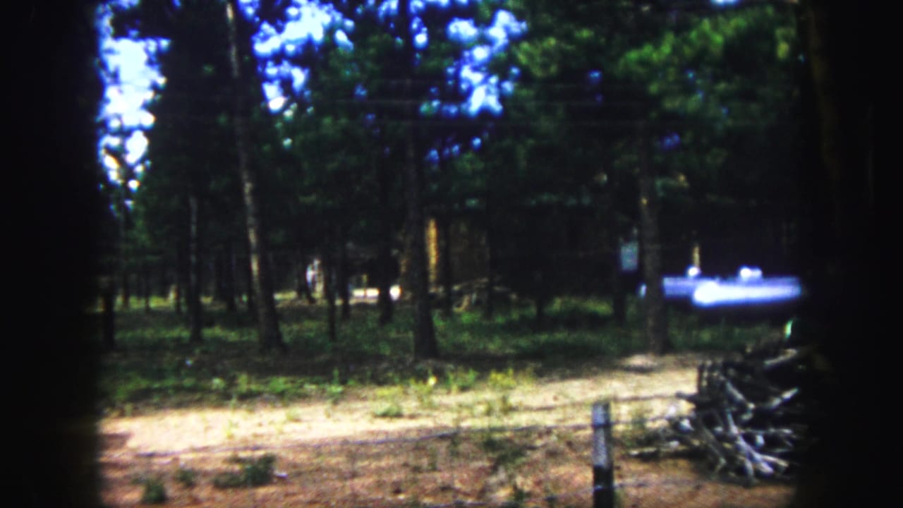 1958 Colorado Springs home-movie frame showing a wooded yard with tall pines, dirt ground, and a softly blurred light object in the distance.